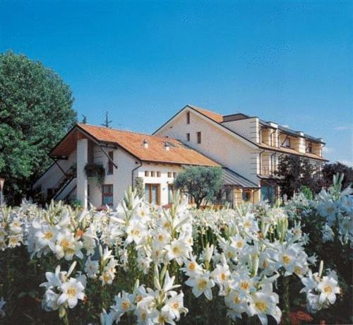 Ca' Delle Rose Ξενοδοχείο Καστελφράνκο Βένετο Εξωτερικό φωτογραφία